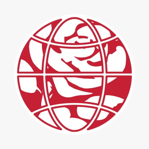 Labour International Development Network logo